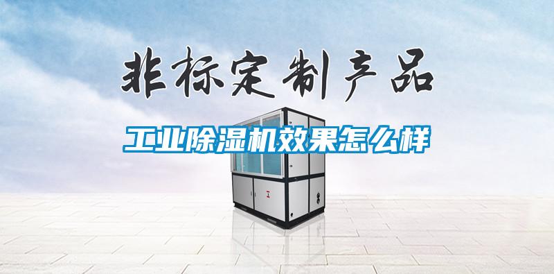 工業除濕機效果怎么樣