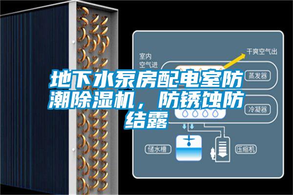 地下水泵房配電室防潮除濕機，防銹蝕防結露
