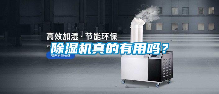 除濕機真的有用嗎？