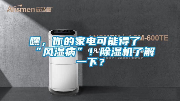 嘿，你的家電可能得了“風濕病”！除濕機了解一下？