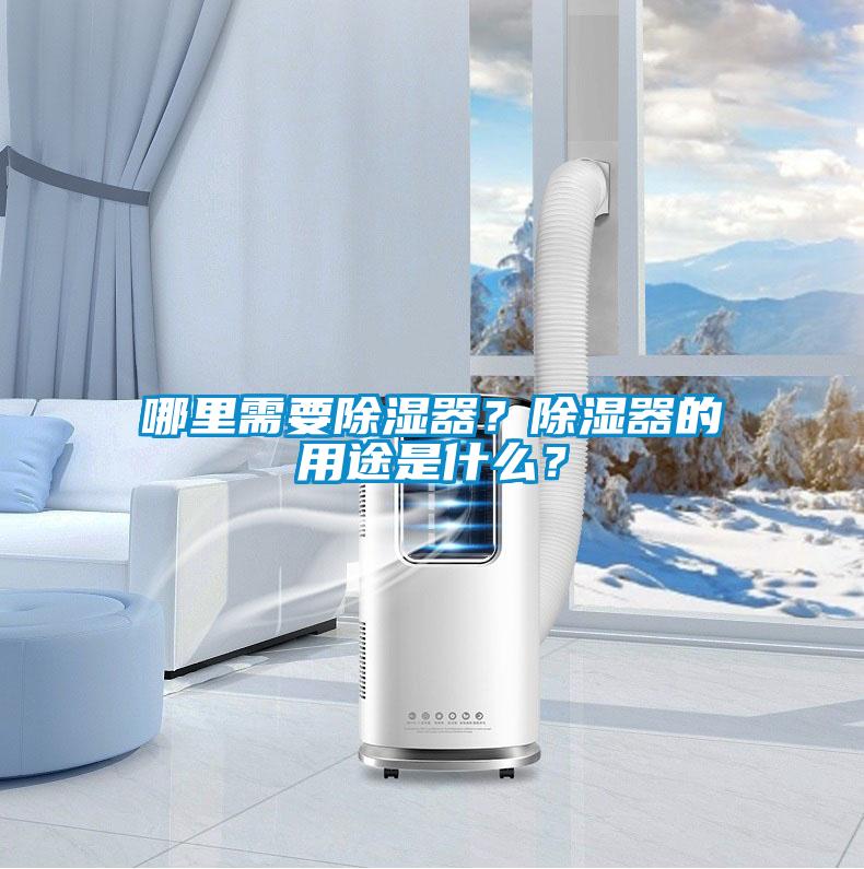 哪里需要除濕器？除濕器的用途是什么？