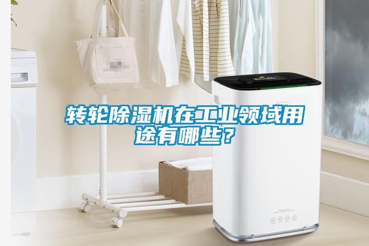 轉輪除濕機在工業領域用途有哪些？