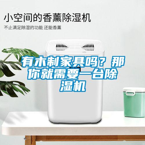 有木制家具嗎？那你就需要一臺除濕機