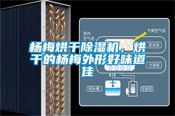 楊梅烘干除濕機，烘干的楊梅外形好味道佳