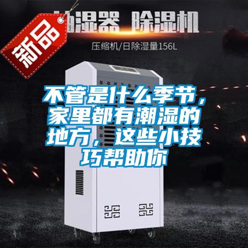不管是什么季節，家里都有潮濕的地方，這些小技巧幫助你