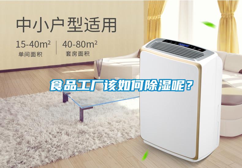 食品工廠該如何除濕呢？