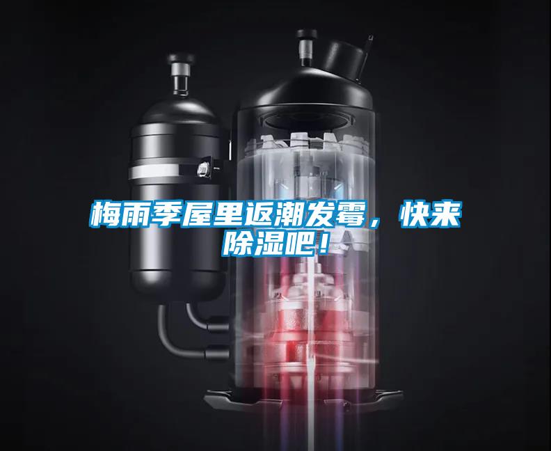 梅雨季屋里返潮發霉，快來除濕吧！