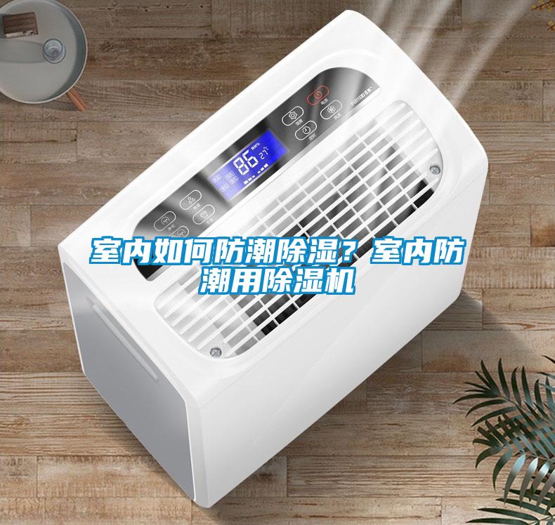 室內如何防潮除濕？室內防潮用除濕機
