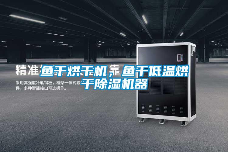 魚干烘干機，魚干低溫烘干除濕機器