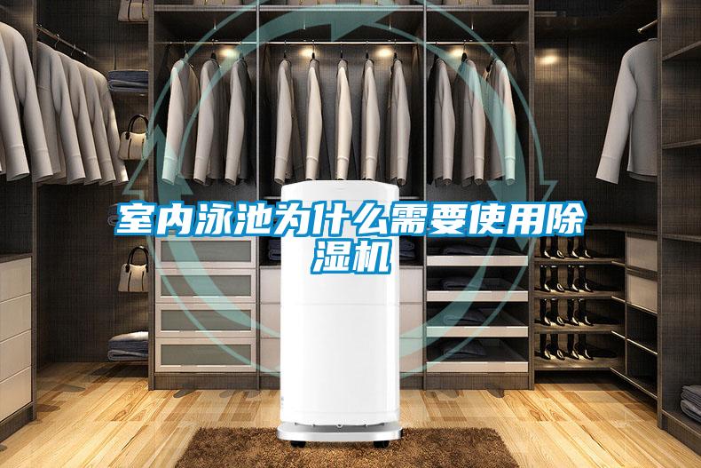 室內泳池為什么需要使用除濕機