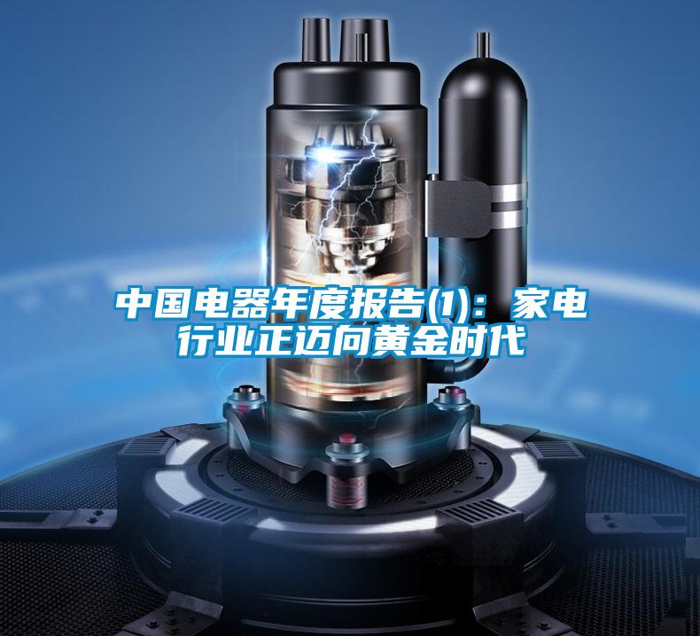 中國電器年度報告(1):家電行業正邁向黃金時代