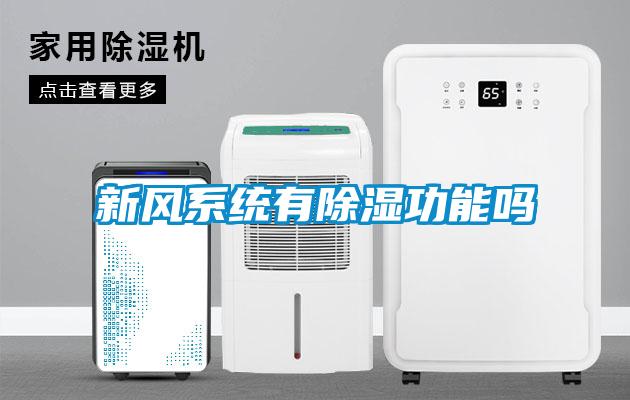 新風系統有除濕功能嗎