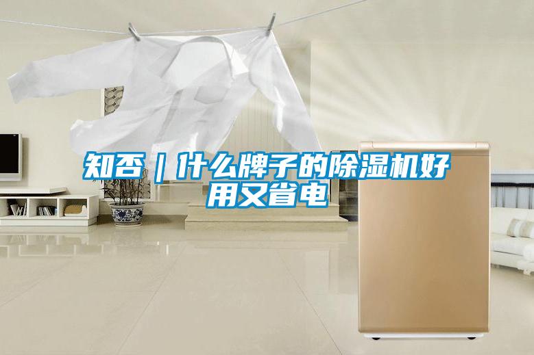 知否|什么牌子的除濕機好用又省電