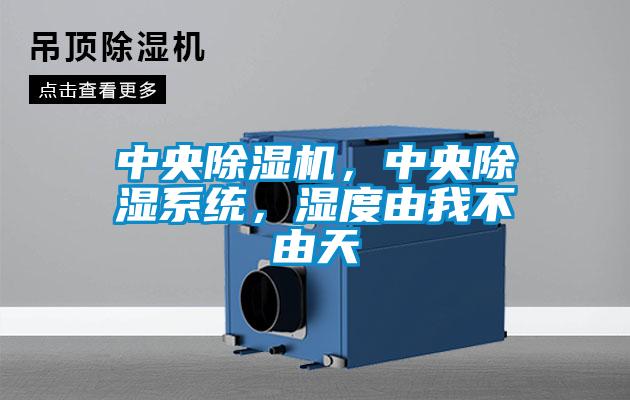 中央除濕機，中央除濕系統，濕度由我不由天