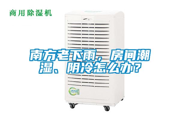 南方老下雨，房間潮濕、陰冷怎么辦？