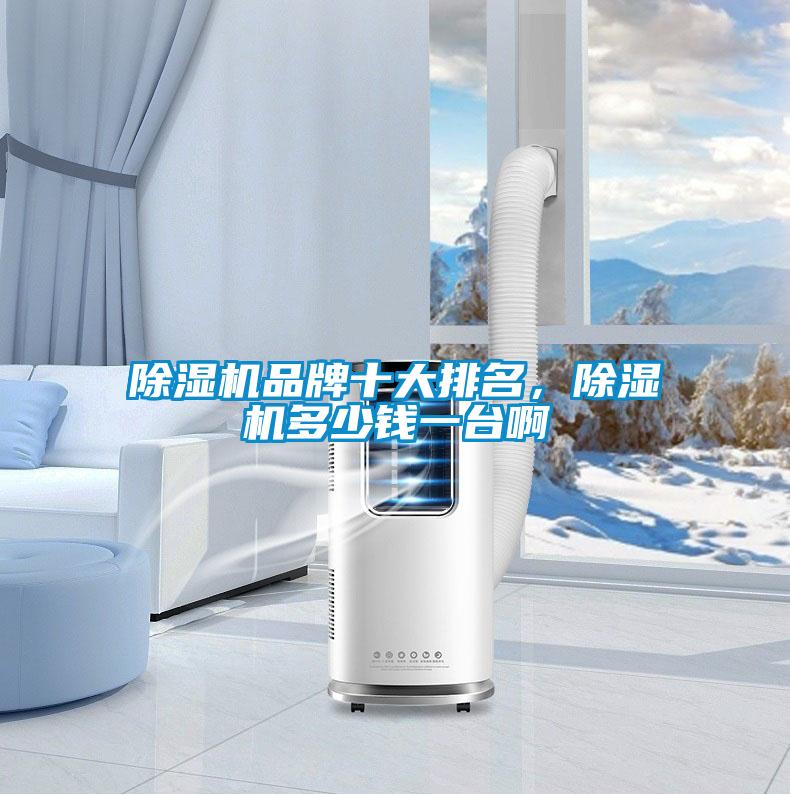 除濕機品牌十大排名，除濕機多少錢一臺啊