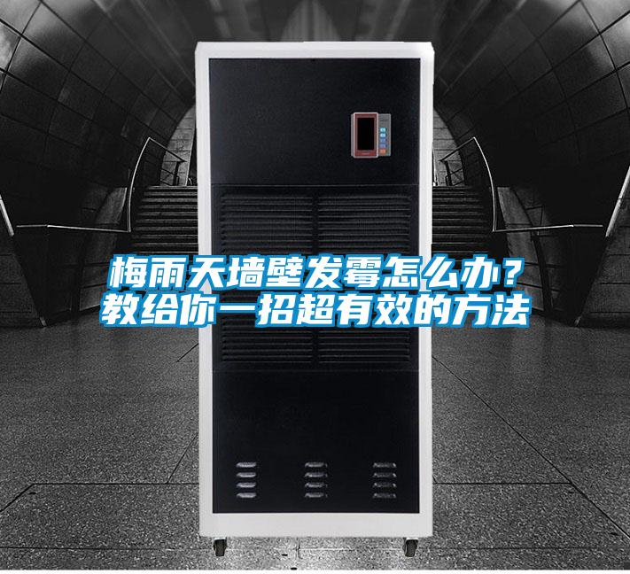 梅雨天墻壁發霉怎么辦？教給你一招超有效的方法