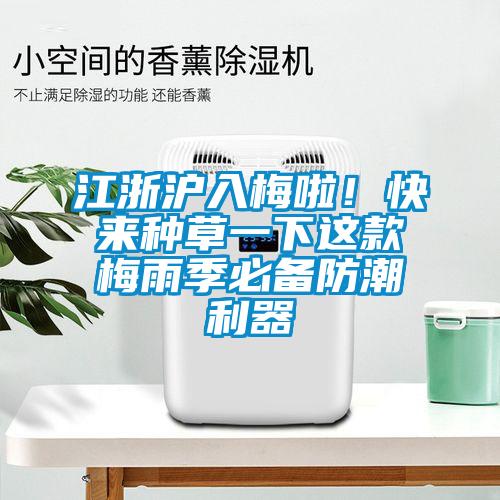 江浙滬入梅啦！快來種草一下這款梅雨季必備防潮利器