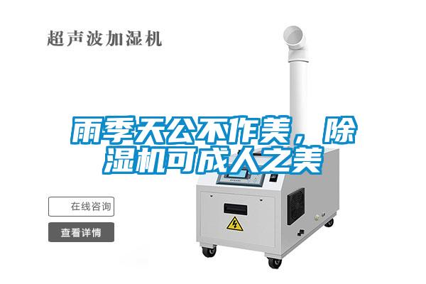 雨季天公不作美，除濕機可成人之美