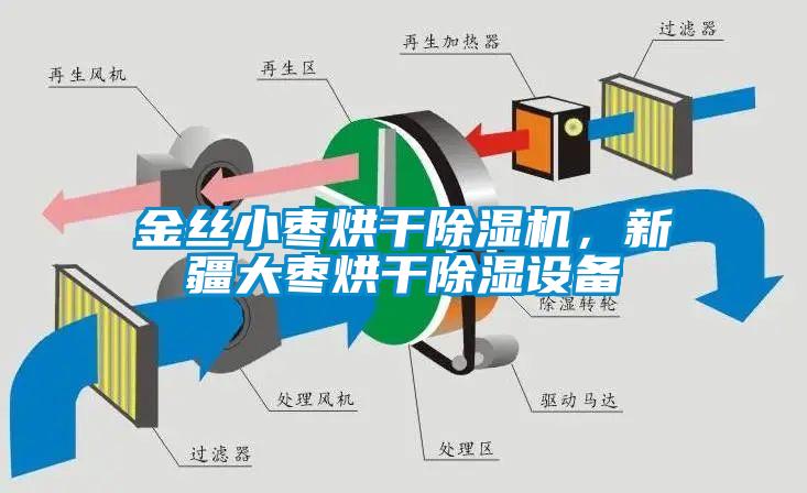 金絲小棗烘干除濕機，新疆大棗烘干除濕設備