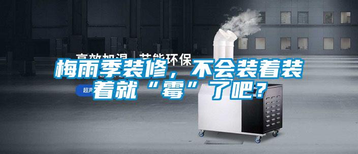 梅雨季裝修，不會裝著裝著就“霉”了吧？