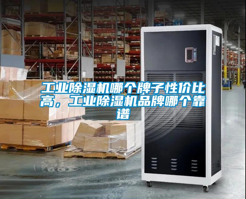 工業除濕機哪個牌子性價比高，工業除濕機品牌哪個靠譜