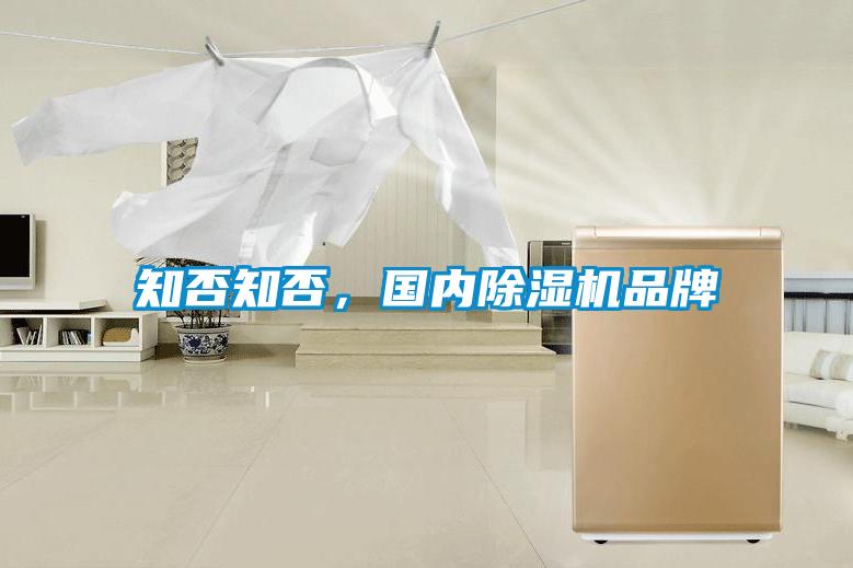知否知否，國內除濕機品牌