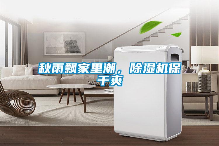 秋雨飄家里潮，除濕機保干爽