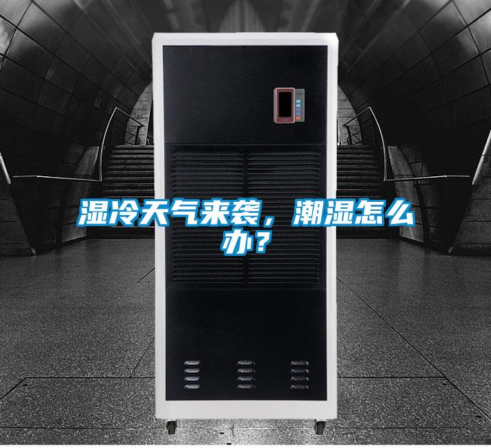 濕冷天氣來襲，潮濕怎么辦？