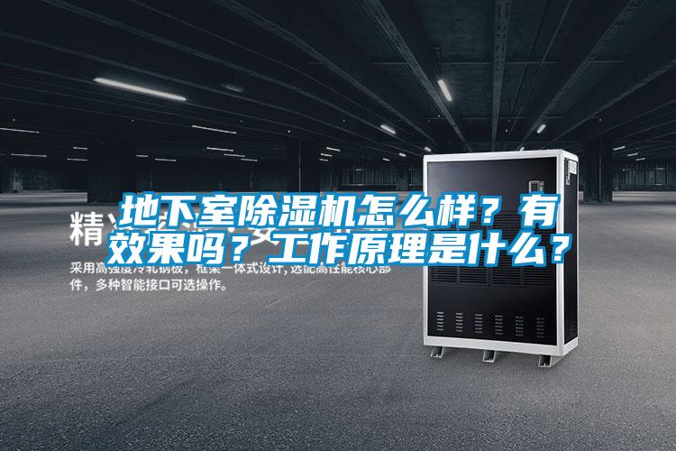 地下室除濕機怎么樣？有效果嗎？工作原理是什么？