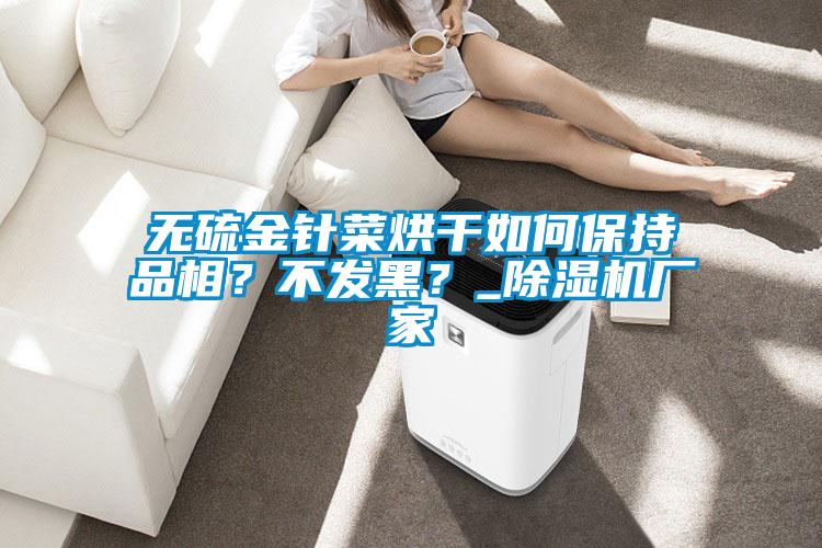 無硫金針菜烘干如何保持品相？不發黑？_除濕機廠家