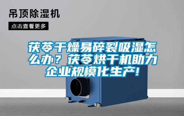 茯苓干燥易碎裂吸濕怎么辦？茯苓烘干機助力企業規?；a!