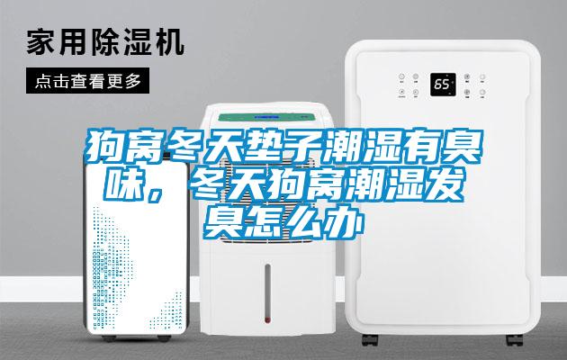 狗窩冬天墊子潮濕有臭味，冬天狗窩潮濕發臭怎么辦