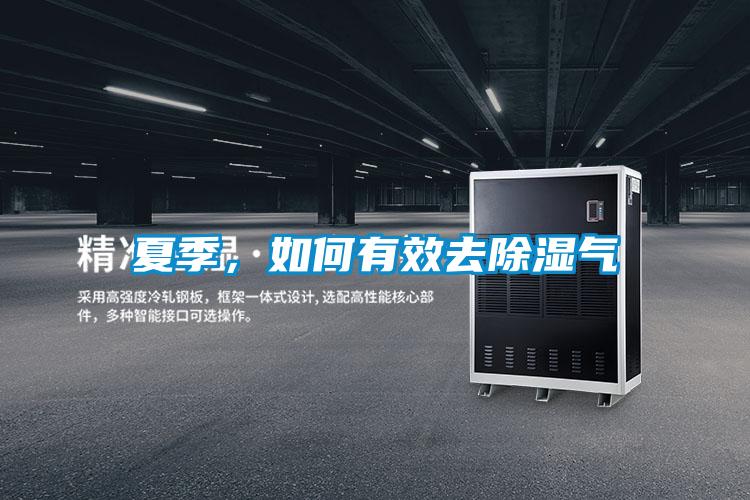 夏季，如何有效去除濕氣