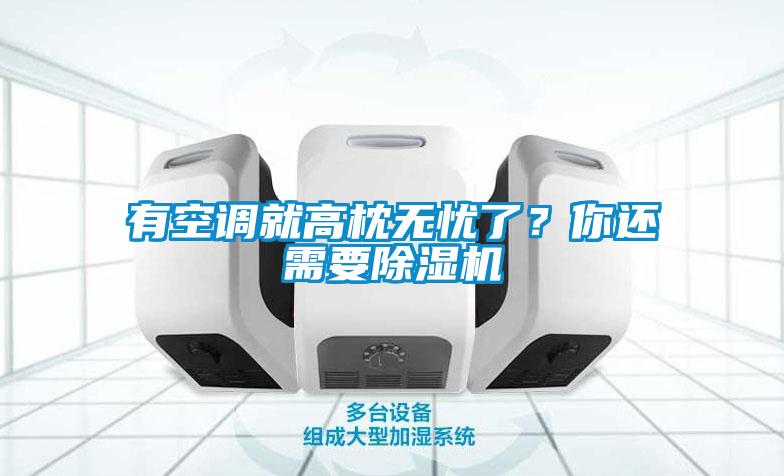 有空調就高枕無憂了？你還需要除濕機