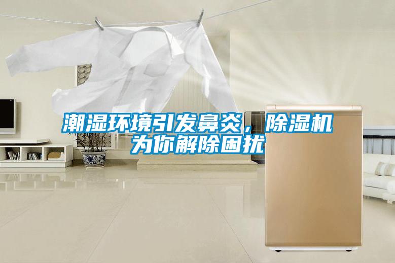 潮濕環境引發鼻炎，除濕機為你解除困擾