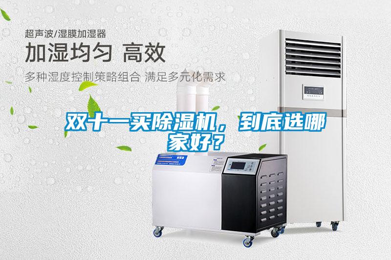 雙十一買除濕機，到底選哪家好？