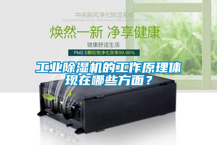 工業除濕機的工作原理體現在哪些方面？
