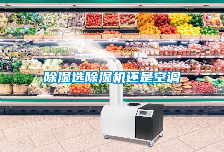 除濕選除濕機還是空調