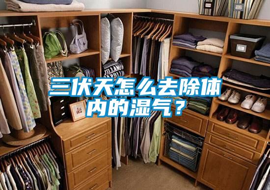 三伏天怎么去除體內的濕氣？