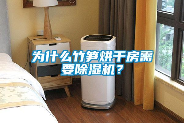 為什么竹筍烘干房需要除濕機？