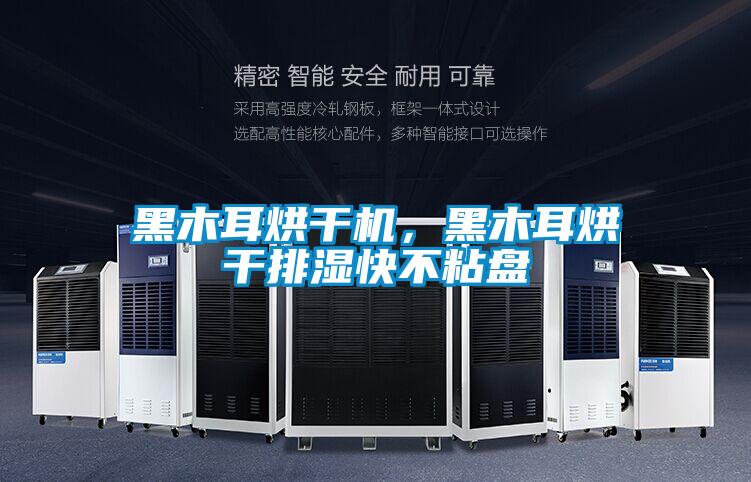 黑木耳烘干機，黑木耳烘干排濕快不粘盤