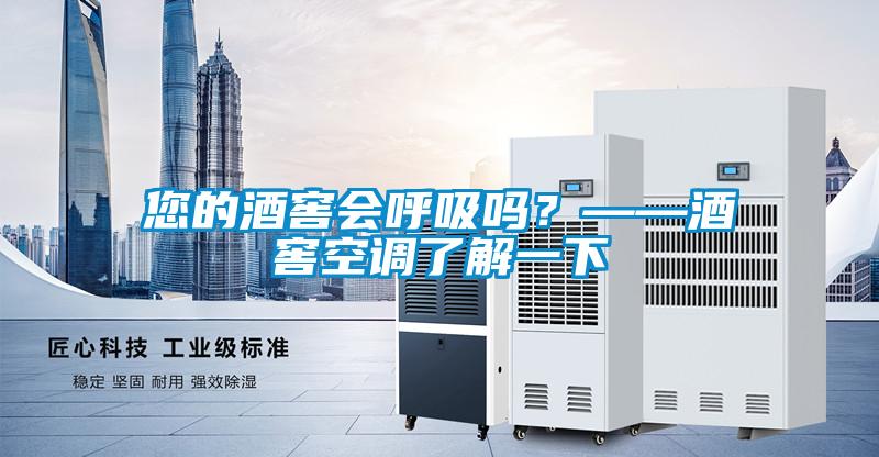 您的酒窖會呼吸嗎？——酒窖空調了解一下