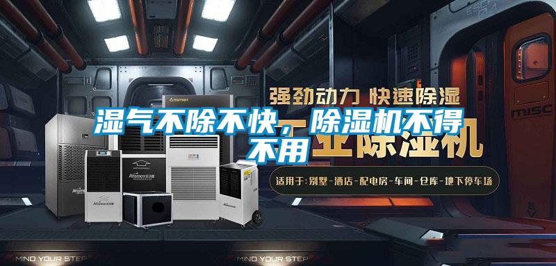 濕氣不除不快，除濕機不得不用