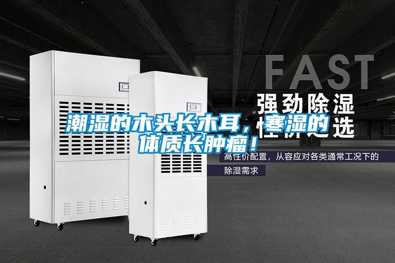 潮濕的木頭長木耳，寒濕的體質長腫瘤！