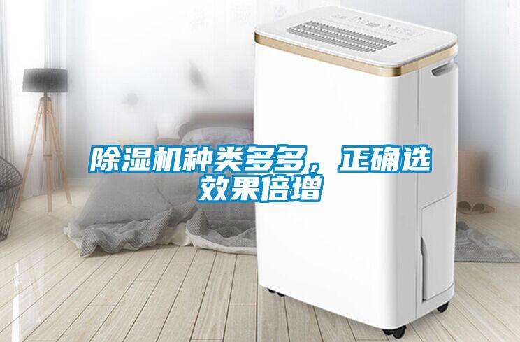 除濕機種類多多，正確選效果倍增