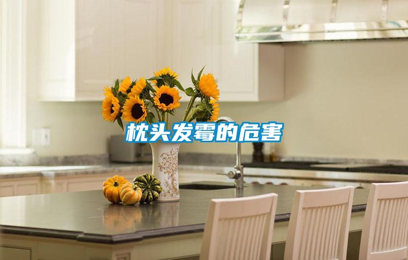 枕頭發霉的危害