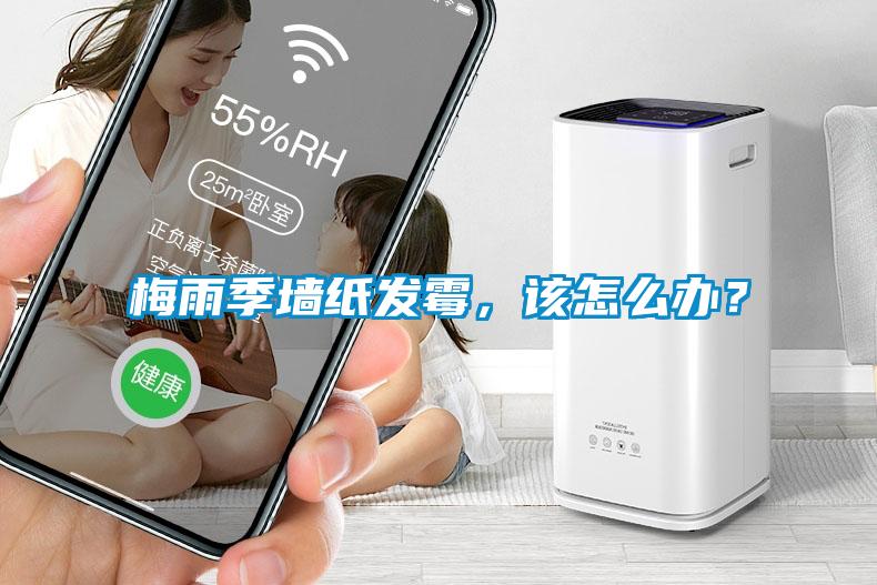 梅雨季墻紙發霉，該怎么辦？