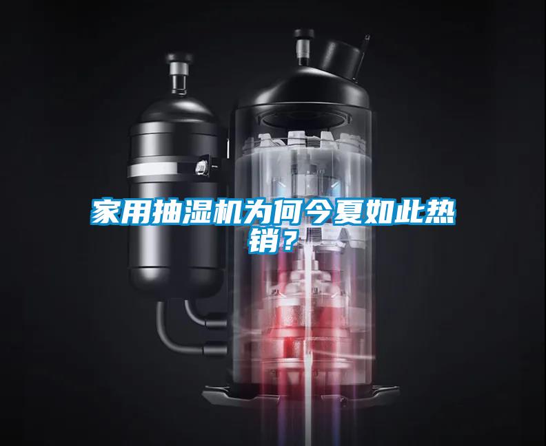 家用抽濕機為何今夏如此熱銷？