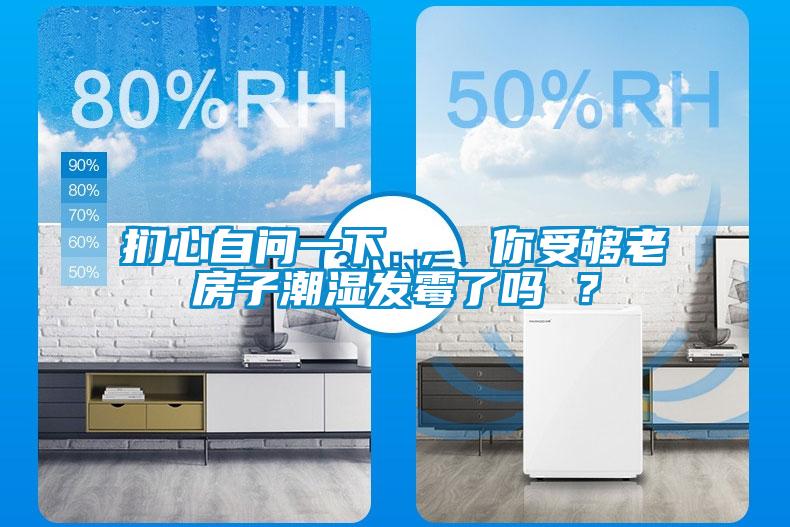 捫心自問一下 ， 你受夠老房子潮濕發霉了嗎 ？